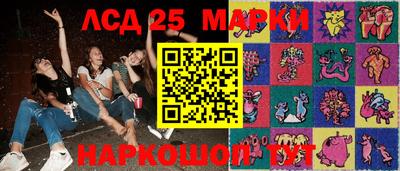 apvp Кимры
