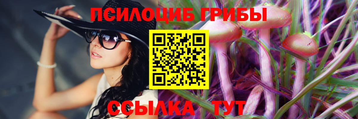 Кириши  Галлюциногенные грибы Psilocybine cubensis  Вход с VPN 